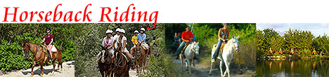 Cancun Horseback Riding Tours