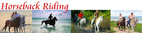 Cozumel Horseback Riding Tours