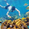 Snorkeling in Mahahual Costa Maya