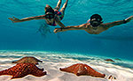Private Snorkeling Tour Cozumel