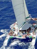 Catamaran Sailing