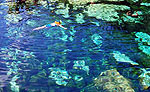 Snorkeling Cenote Azul