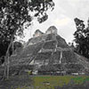 Coba Express
