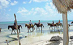 Majahual Horseback Riding