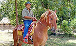 Costa Maya Horseback Riding