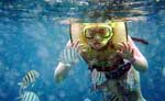 Playa del Carmen Snorkeling