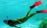 Playa del Carmen Snorkeling