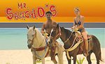Mr Sanchos All Inclusive Horseback Ride