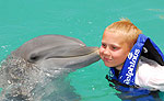 Family Dolphin Swim Xcaret