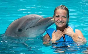 Xcaret Dolphin Swimming