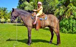 Horseback Riding Excursion Cozumel