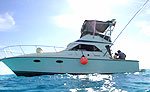 Cozumel Sportfishing
