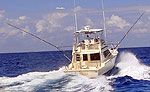 Playa del Carmen Yacht Charter