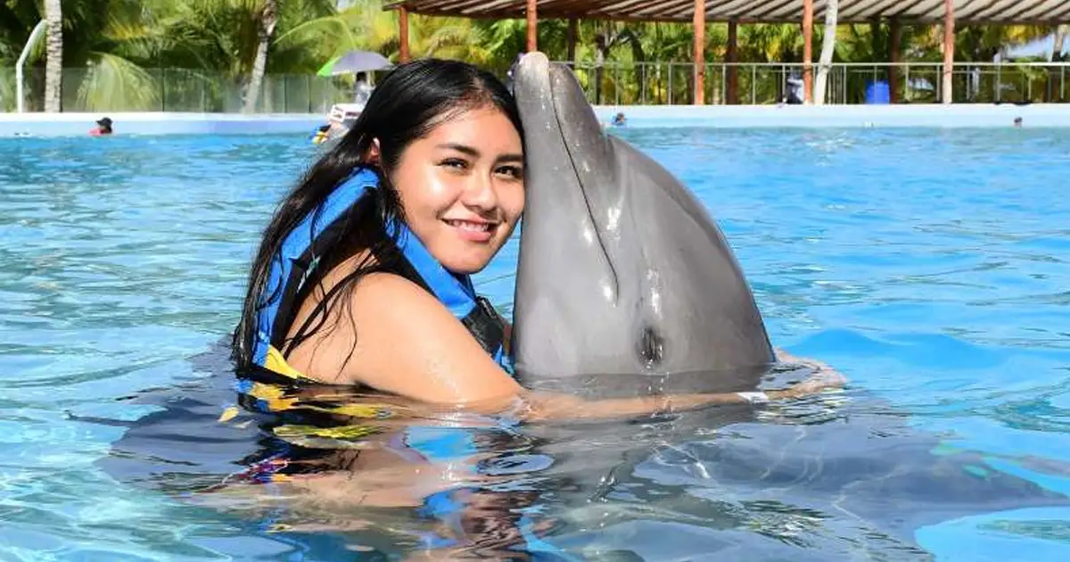 Dolphin Swim Adventure - Garrafon Park