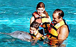Riviera Maya Dolphin Swimming