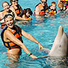 Dolphin Encounter Isla Mujeres