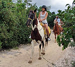 Cancun Horseback Riding Tour