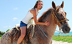 Cancun Horseback Riding
