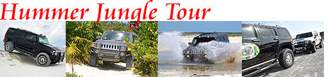 Hummer Jungle Tour Cancun