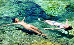 Cenote Snorkeling Excursion