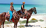 Horseback Riding Tour
