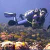 Cancun Scuba Diving