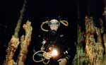 Cozumel Night Scuba Diving