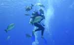 Cozumel Discover Scuba Diving