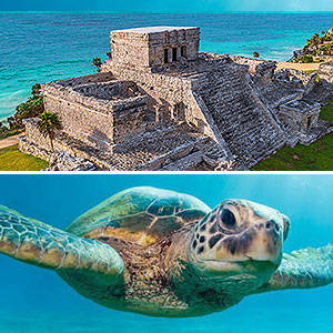 Tulum and Sea Turtles - Playa del Carmen