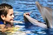 Kids Dolphins Xel Ha
