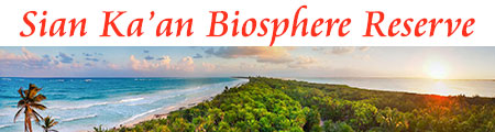 Sian Kaan Biosphere Tour from Cancun Discounts