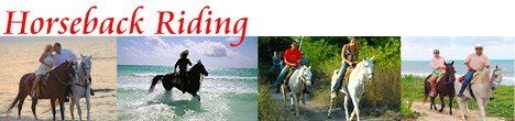 Horseback Riding Tours Playa del Carmen