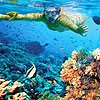 Cozumel Snorkeling Tours - Cruise Shore Excursions too!