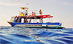 Glass Bottom Tour Cozumel