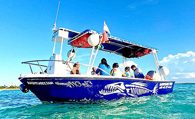 Cozumel Snorkeling