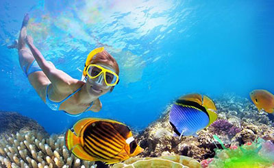 Snorkeling Tour Riviera Maya